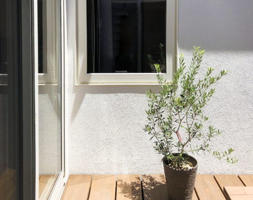 エコサームの表情