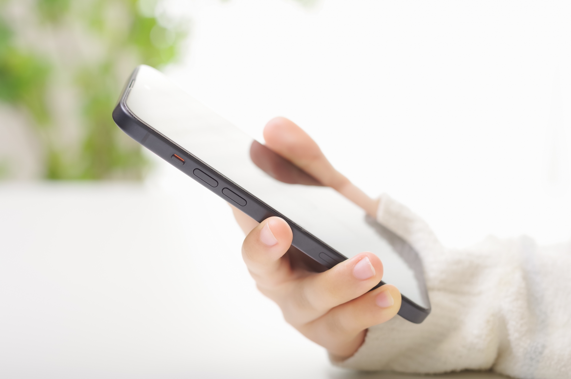 ここに代替テキスト