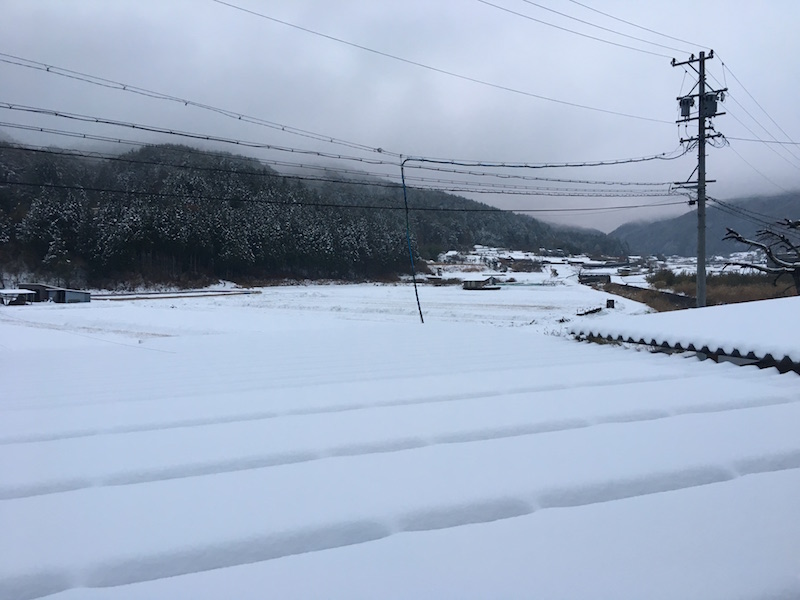 今日の新野は銀世界